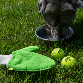 Understanding the Truth About Ticks: How to Stay Safe This Summer