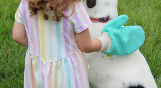 Planning More Time Outside This Spring? Don’t Forget About Ticks!!