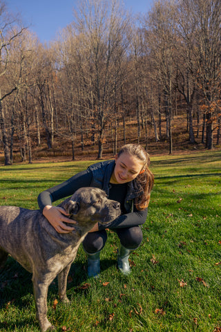 The Best Tick Repellent for Dogs: A Comprehensive Guide