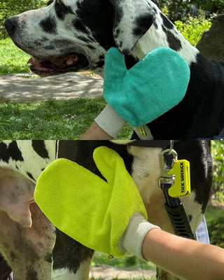 TiCK MiTT