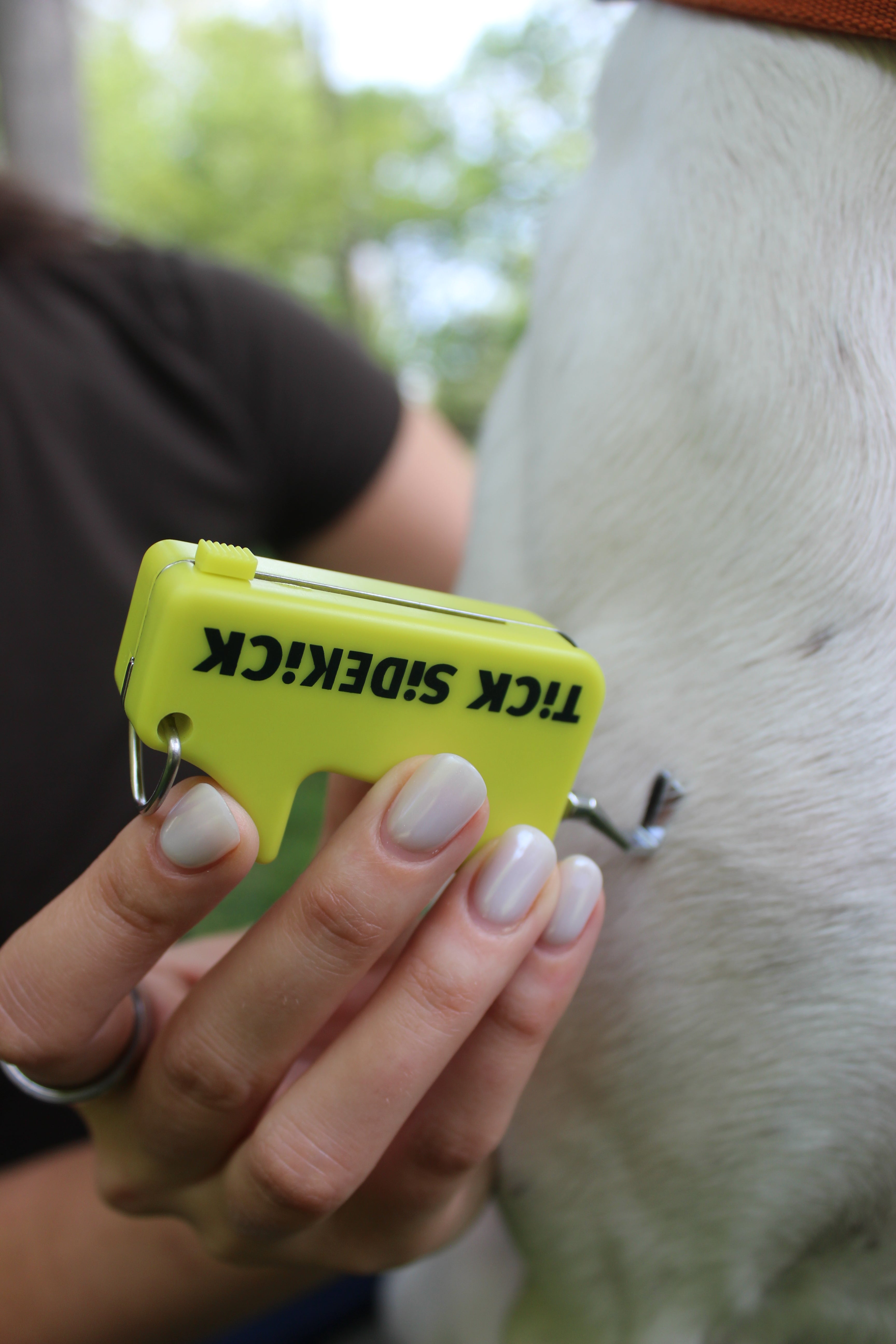 Person holding a yellow tick removal tool against a blurred outdoor background