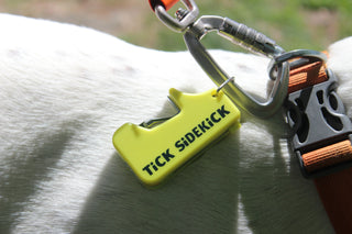 Yellow 'Tick Sidekick' tag attached to a dog's collar with a carabiner.