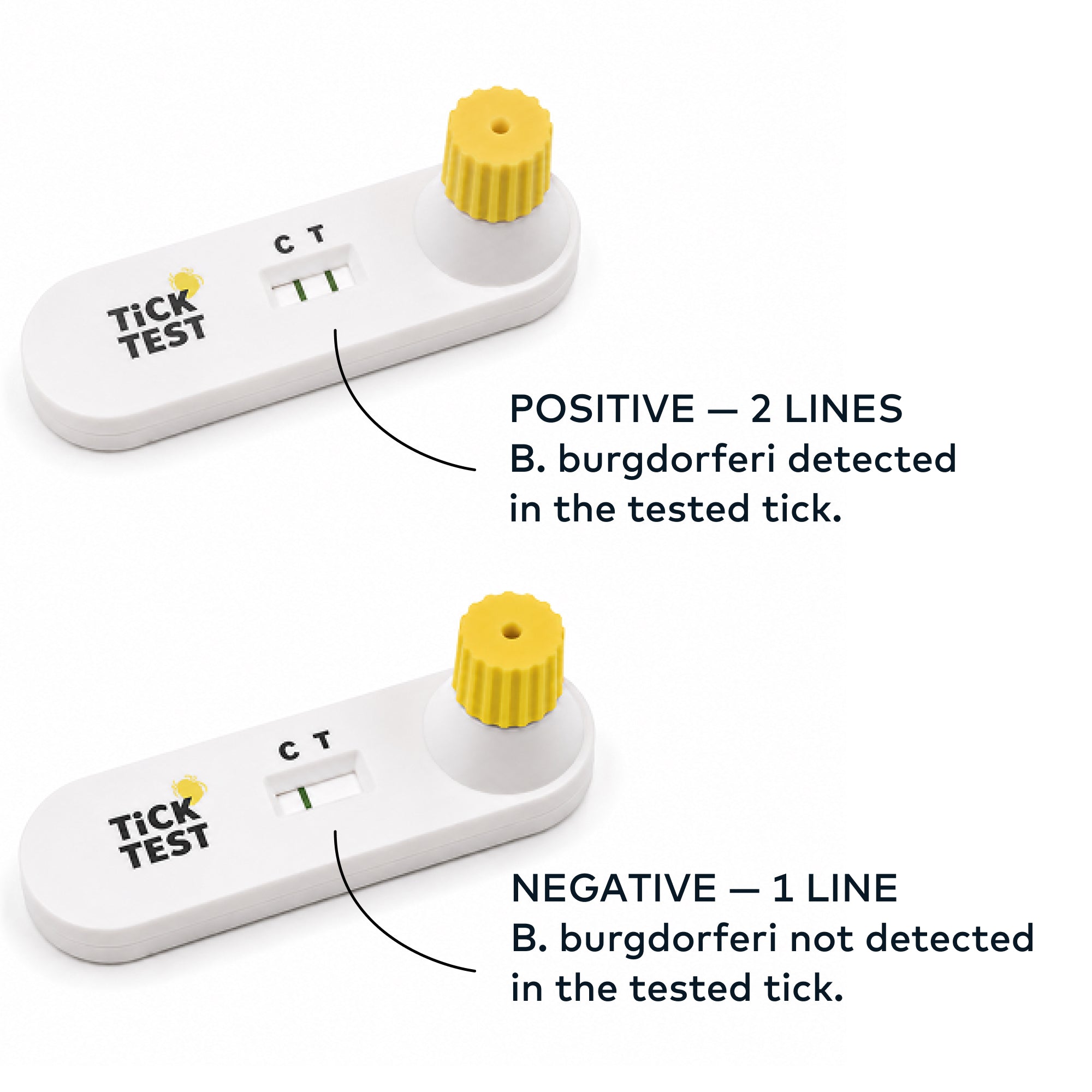 At-Home Tick Test