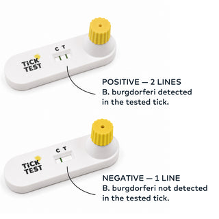 At-Home Tick Test