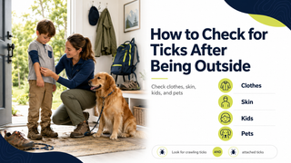 How to Check for Ticks on People, Kids & Dogs