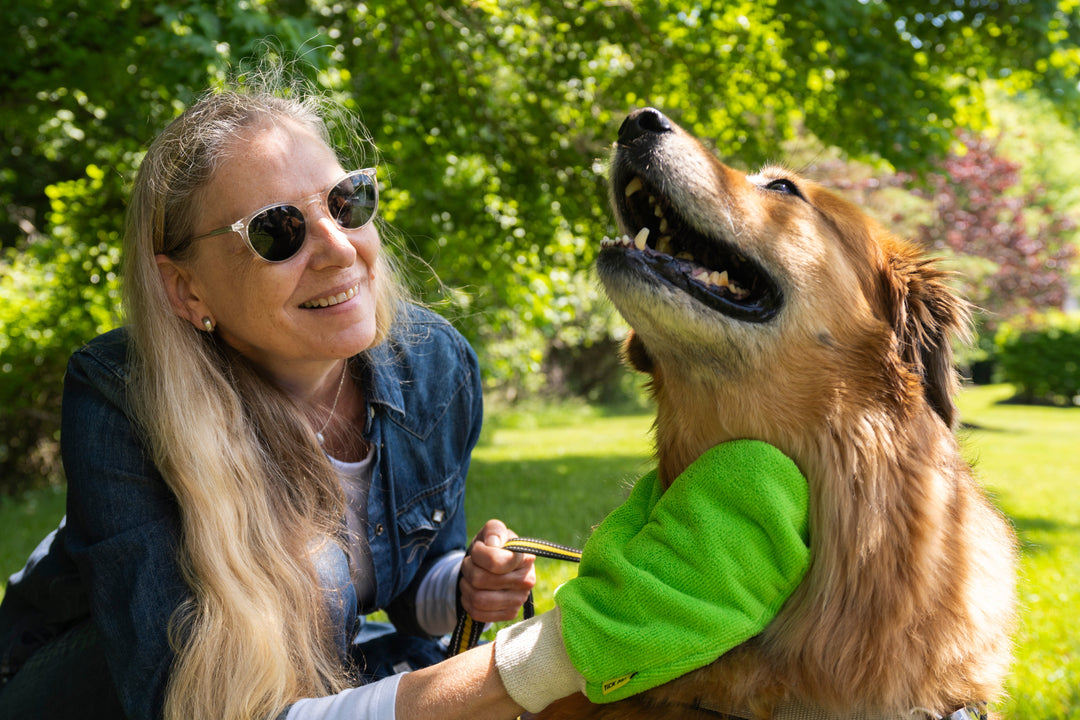 City Ticks: Why Parks, Dog Runs, and Backyards Aren't Off-Limits