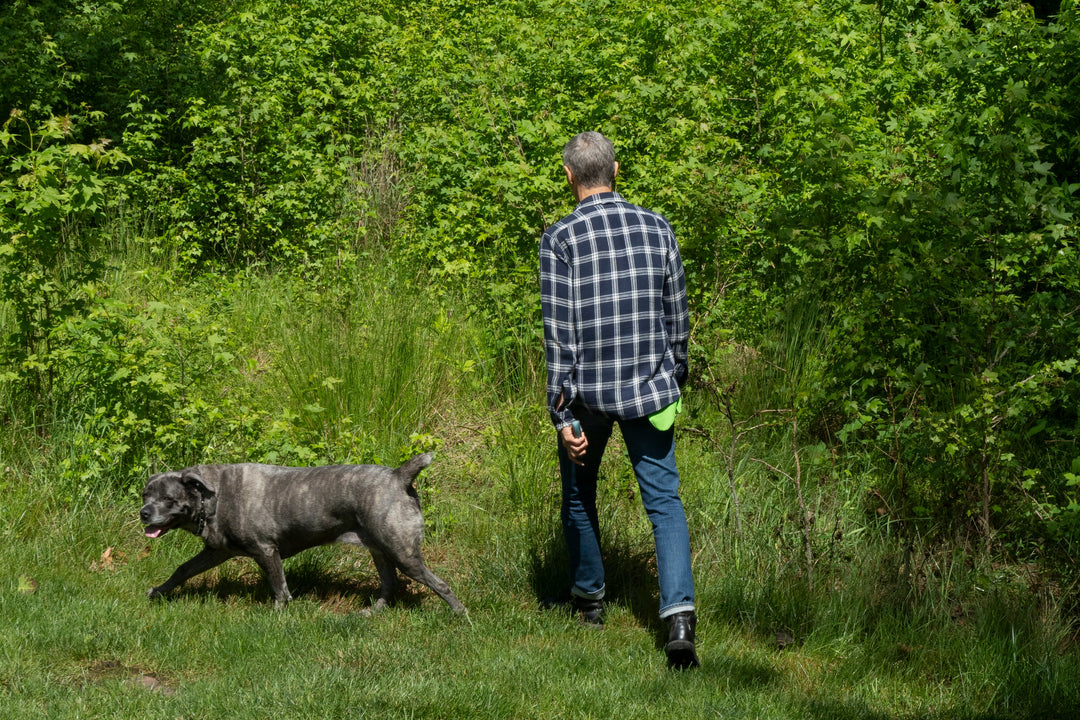 Lyme Disease Cases Hit Record High: The Hidden Impact of Climate Change