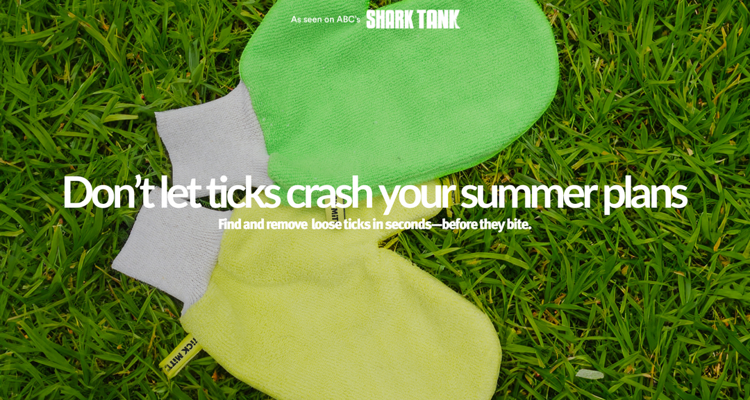 Tick-Free Adventures for Dogs: 6 Summer Activities to Avoid Bites