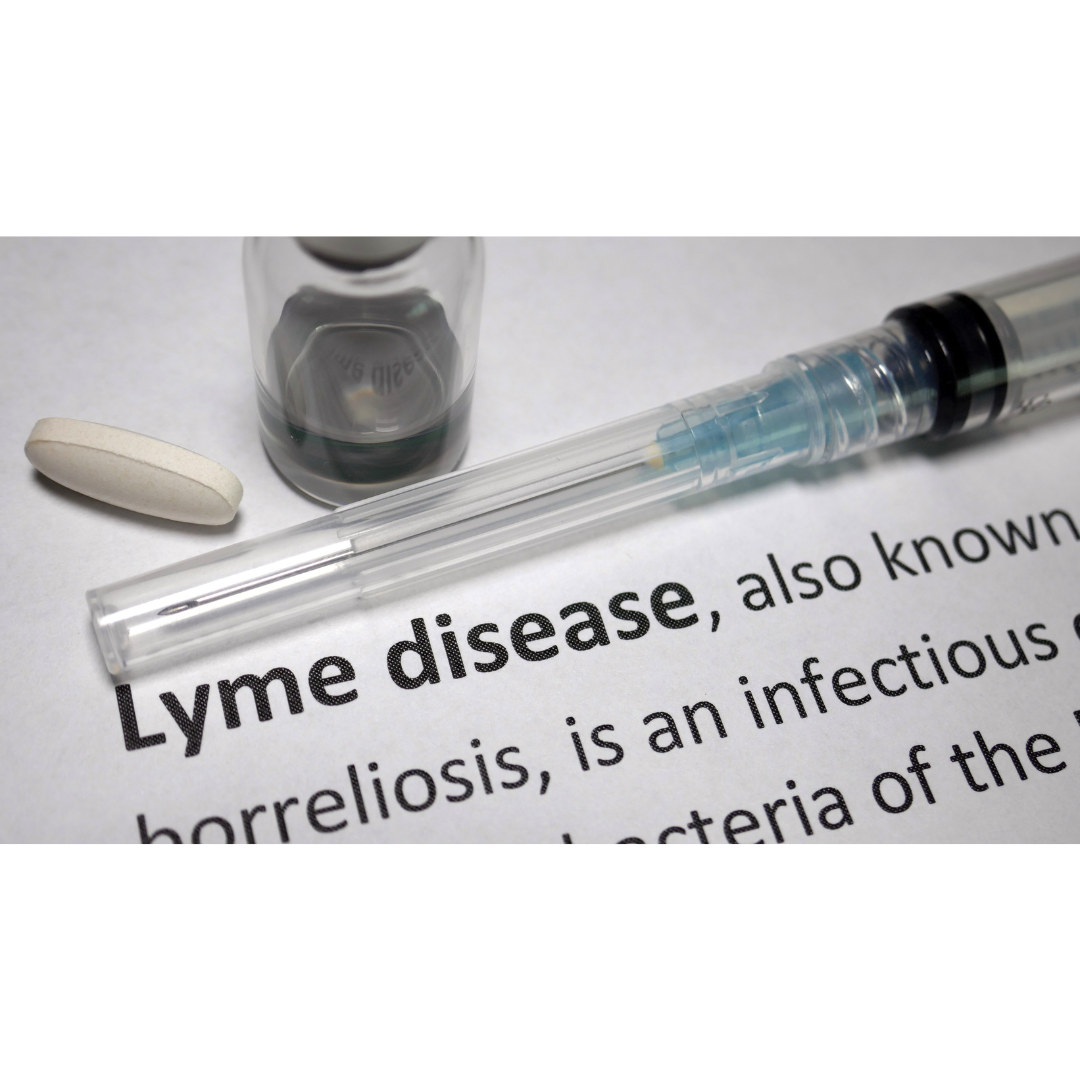 The History of the Lyme Disease Vaccine: Past, Present, and Future