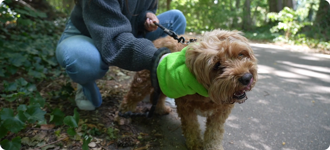 Fall & Ticks: What Families Need to Know