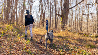How to Check for Ticks After Hiking: A Hiker’s Guide