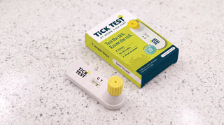 Can You Test a Tick for Lyme Disease? Here's What It Tells You — and What It Doesn't