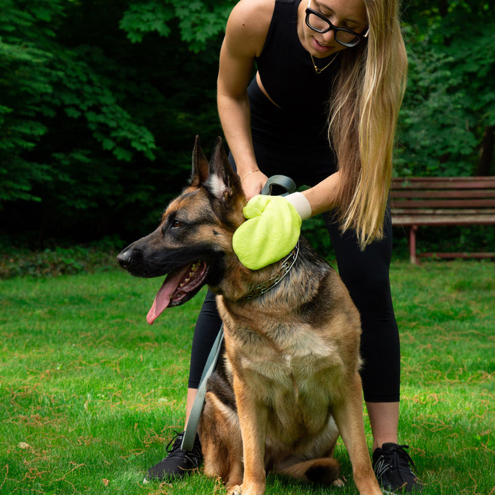 Woman grooming a German Shepherd dog outdoors using a yellow grooming mitt.
