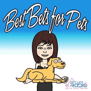 Illustration of a woman holding a dog with the text 'Best Bets for Pets'.