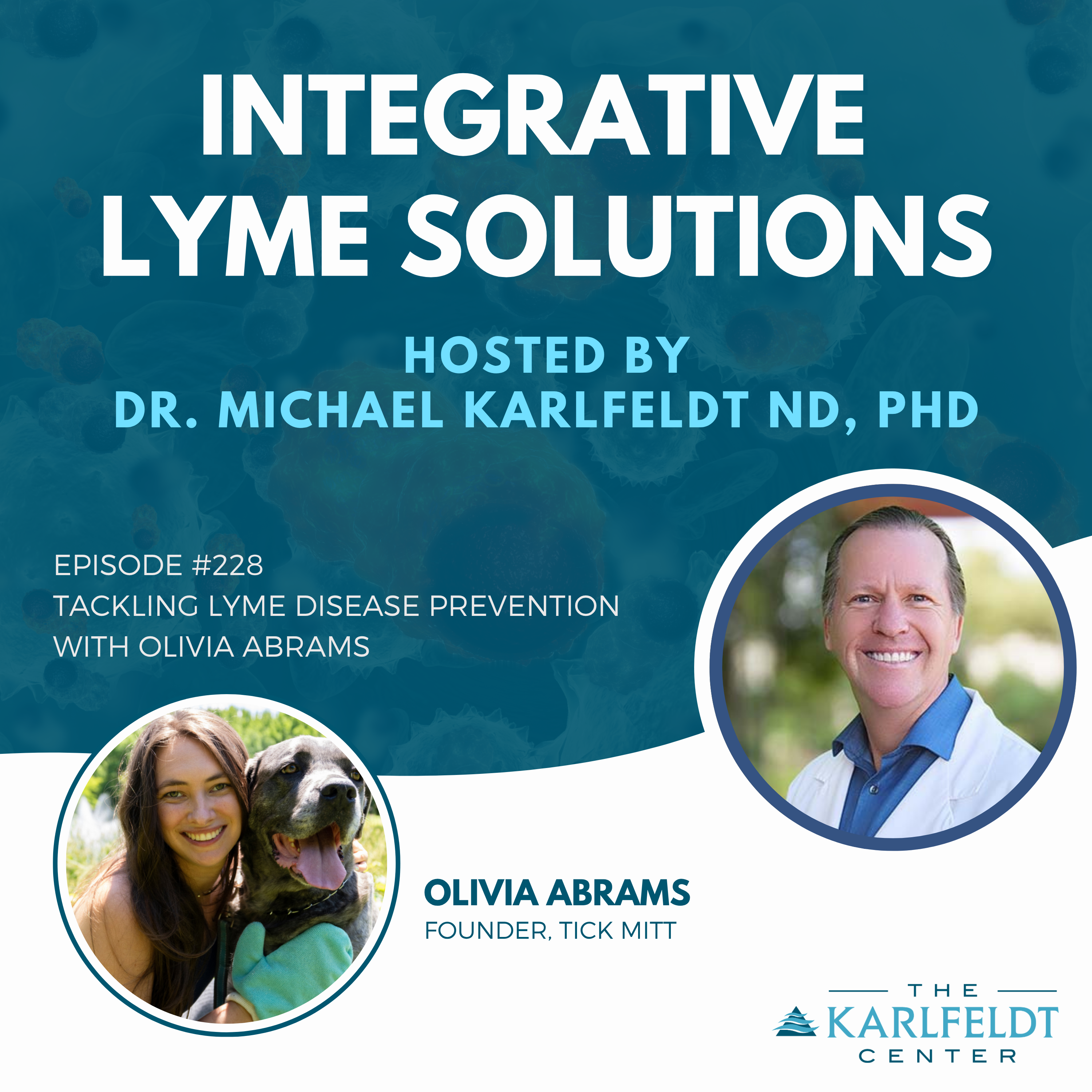 Integrative Lyme Solutions