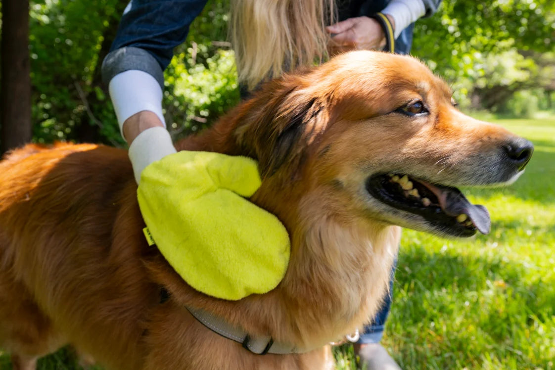 The yellow TiCK MiTT in hand, wiping down a dog's coat