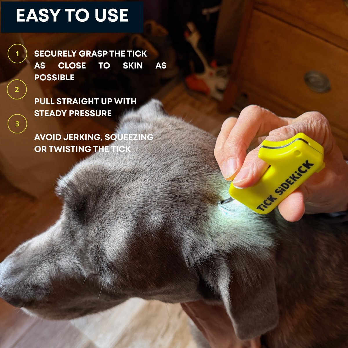 TiCK SiDEKiCK removing a tick from a dog — three easy steps