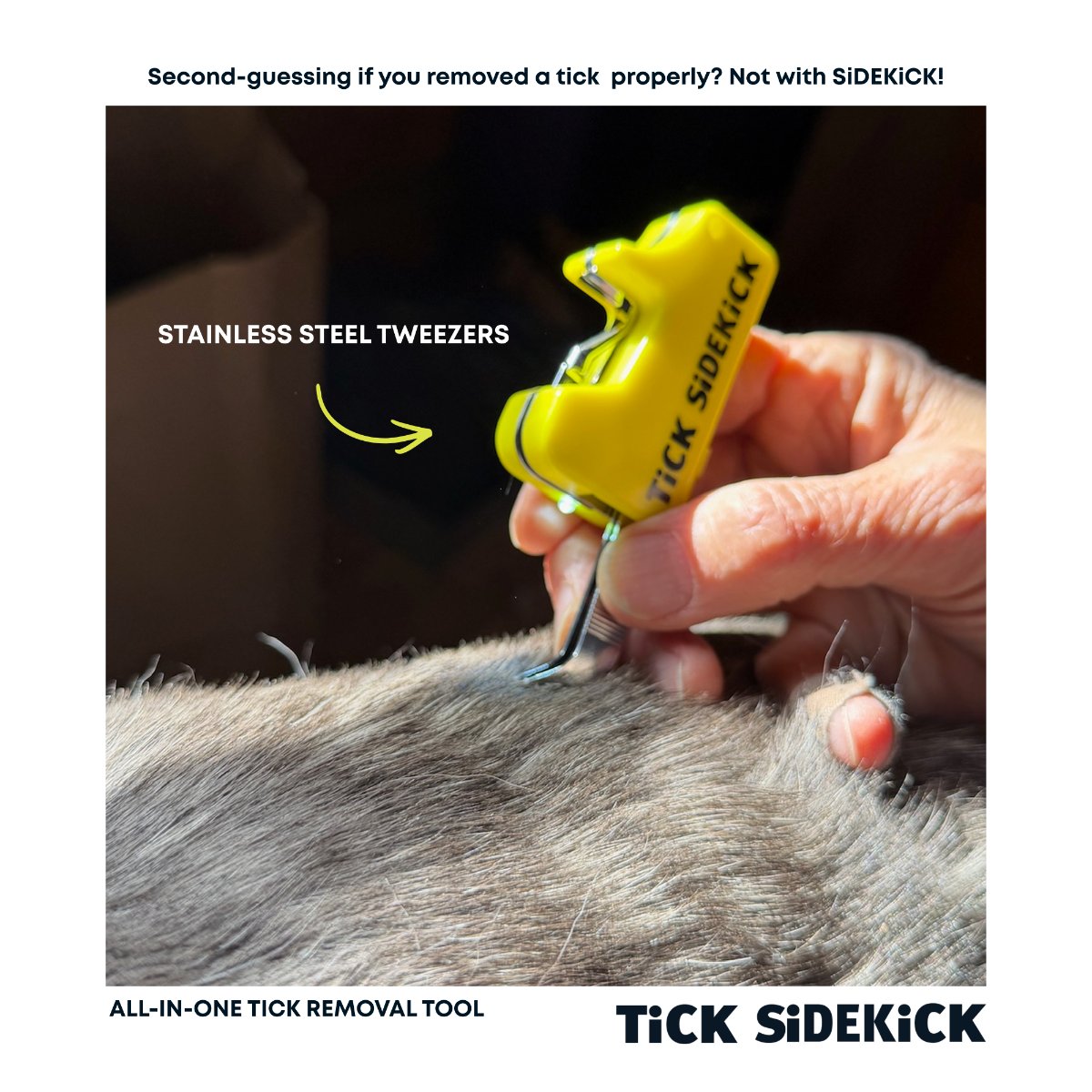 TiCK SiDEKiCK stainless steel tweezers in use